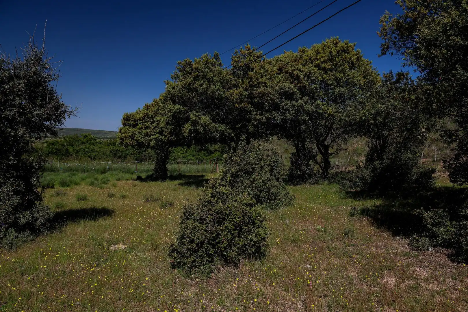 Terreni e lotti in vendita a Carretera CL-505, imagen 17
