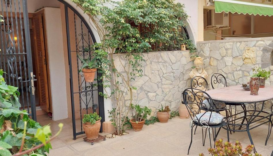 Photo 1 of House or chalet to rent in Avenida Rembrandt, Zona Carrefour - Urbanizaciones, Alicante