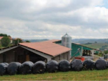 Industriegebäude zum Verkauf in Llanera