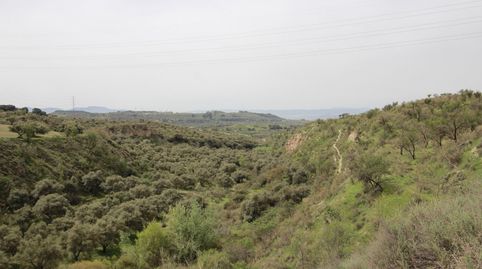 Photo 3 of Country homes for sale in Jun, Granada