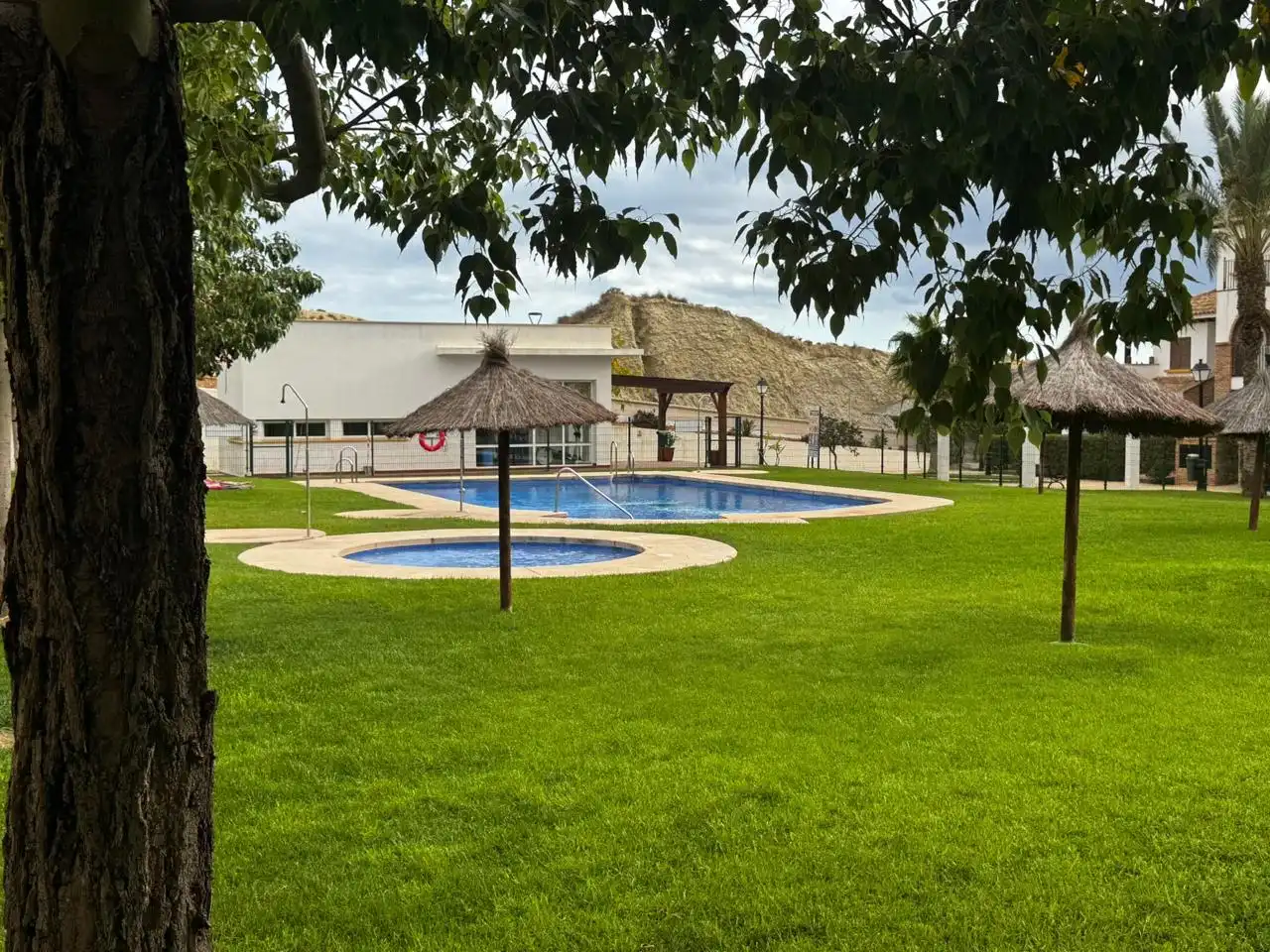 Swimming pool of Flat for sale in Las Salinas