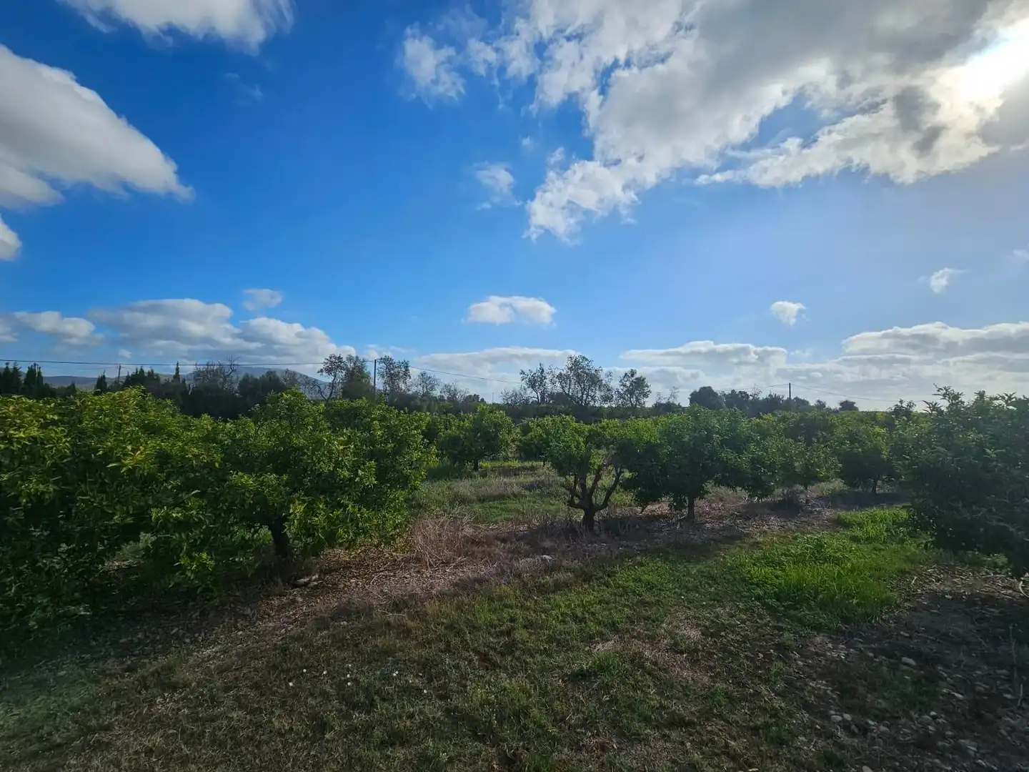 Country house for sale in Alcanar, imagen 5