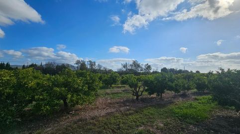 FINCA RÚSTICA EN ALCANAR, imagen 5
