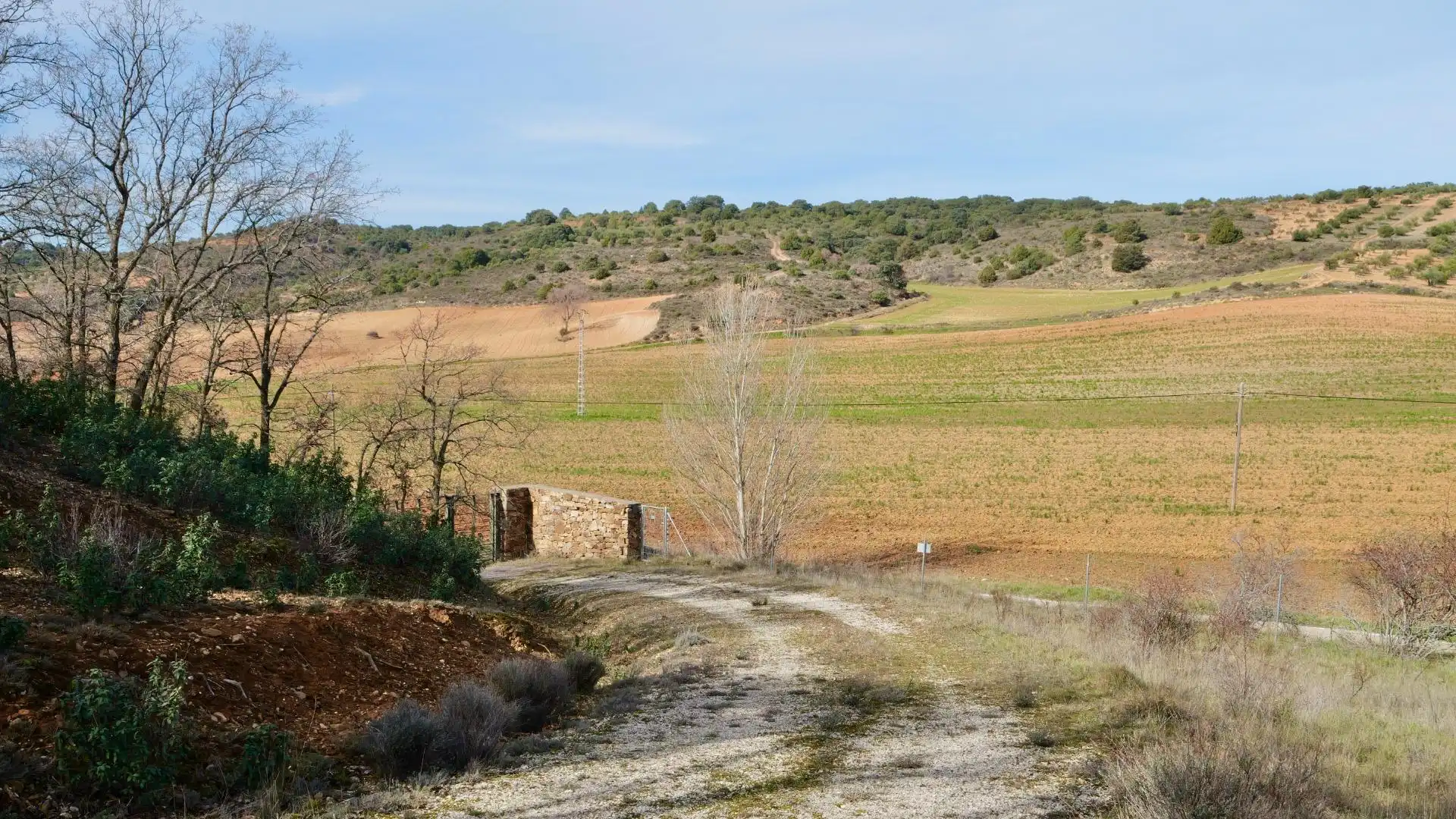 Land for sale in Arbancón