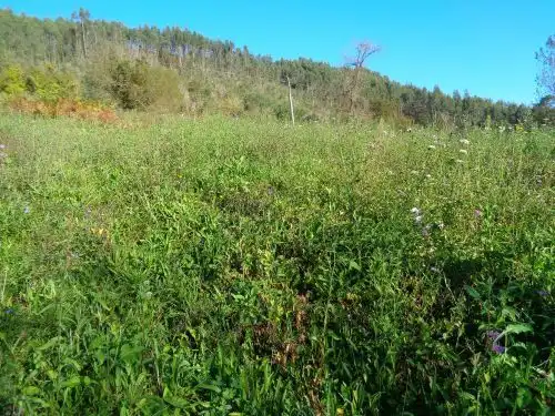 Terreno rustico in vendita a Parroquias suroccidentales, imagen 2