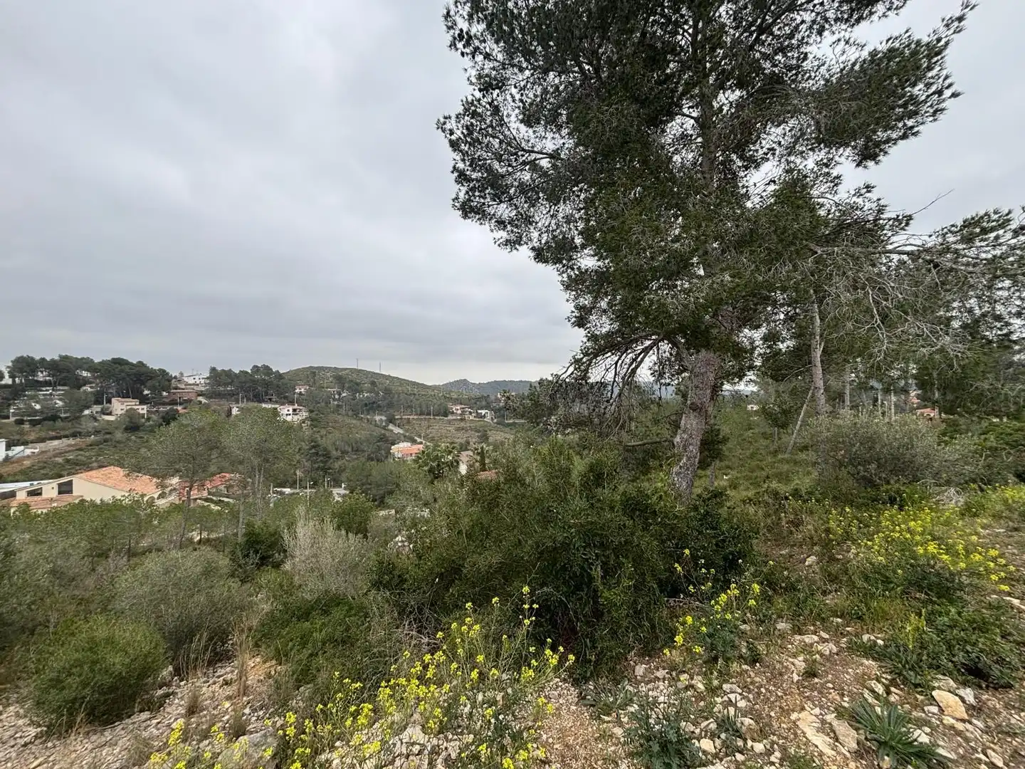 Wohnbaugrundstück zum Verkauf in Olivella, imagen 22