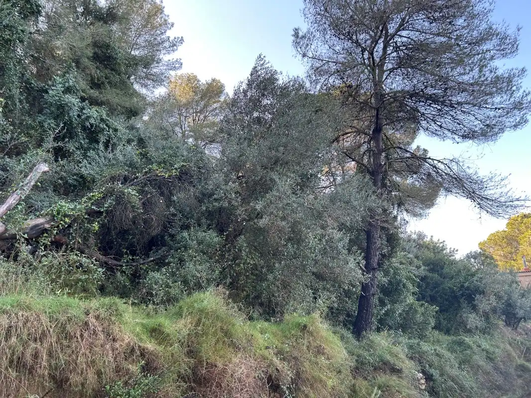 Rural land for sale in Partida Tancaes, imagen 14