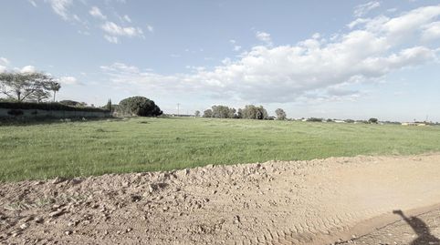 FINCA RUSTICA EN EL PINTADO GIBRALEÓN  HUELVA, immagine 2