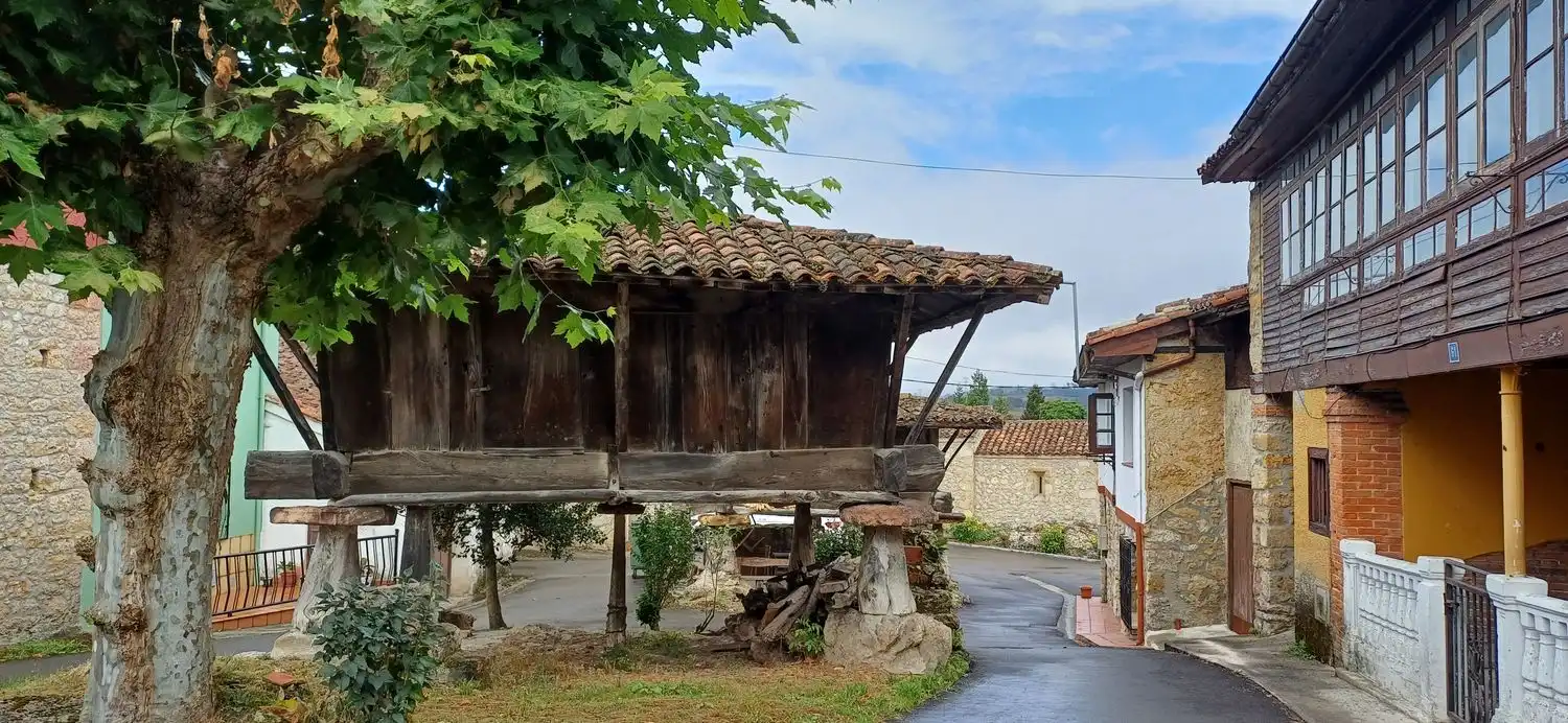 Exterior view of Houses for sale in Nava  with Swimming Pool