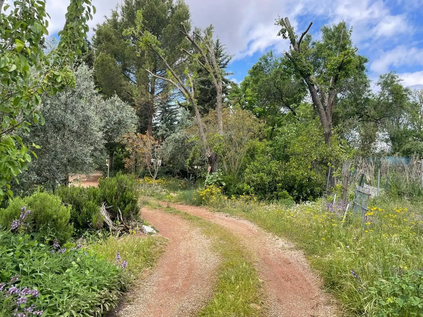 Finca rústica en venda en Carrión de Calatrava amb Calefacció, Terrassa i Traster