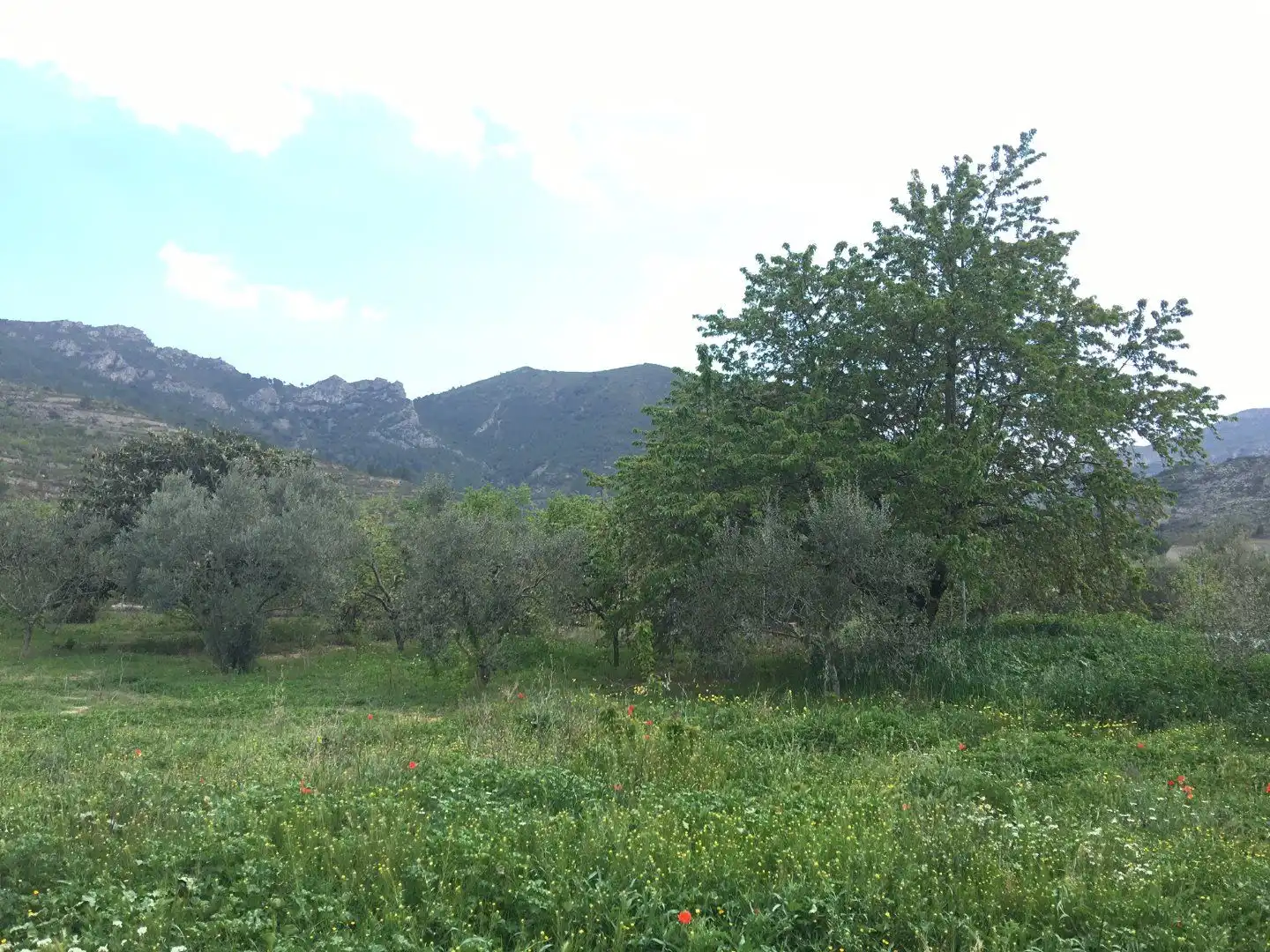 Country homes for sale in Vilaverd  with Private garden, Terrace and Storage room