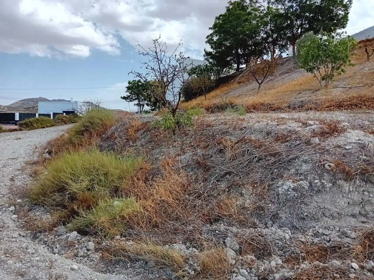 Industrial land for sale in Orce