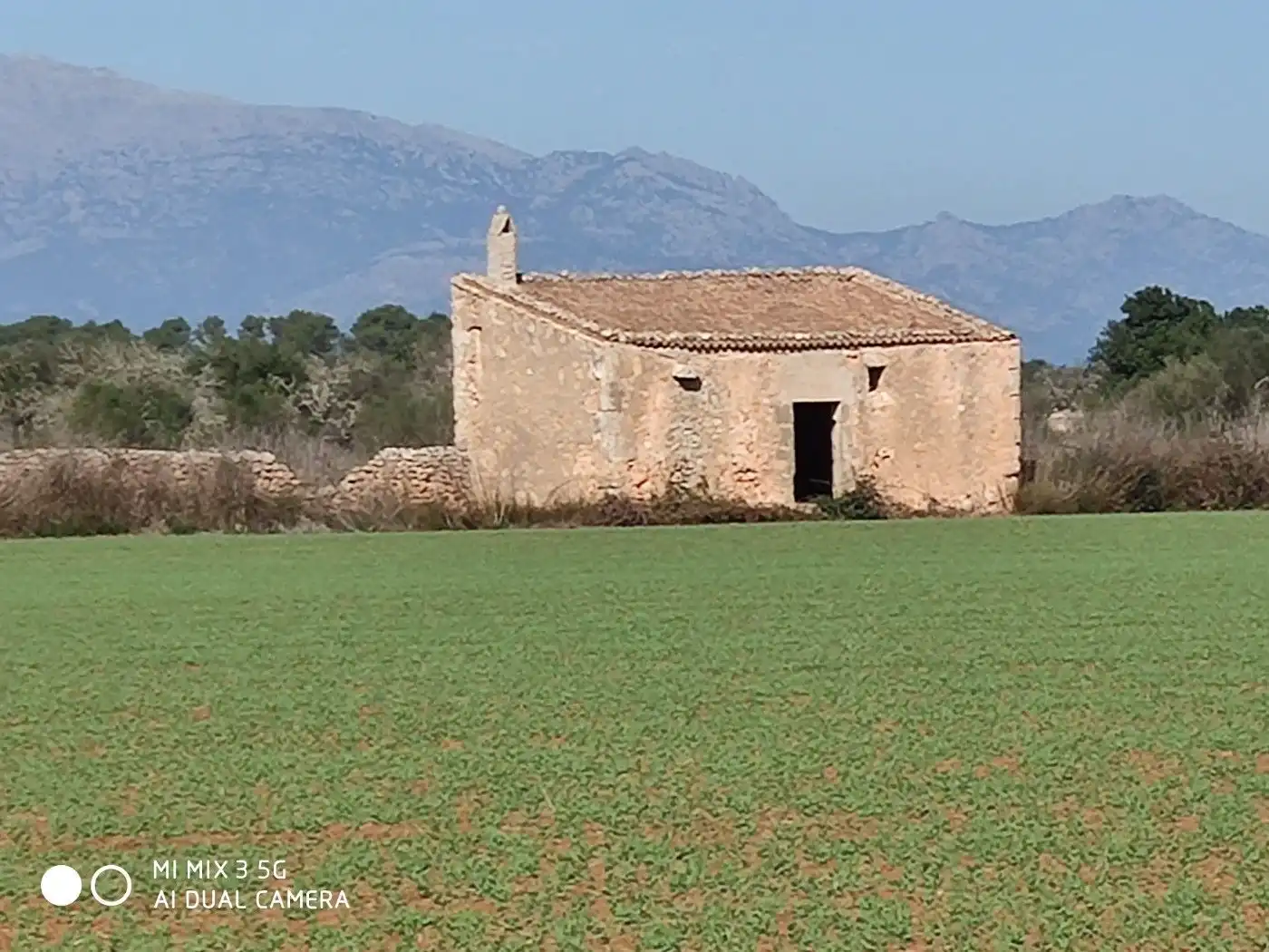 Terrain résidentiel à vendre à Algaida, imagen 2