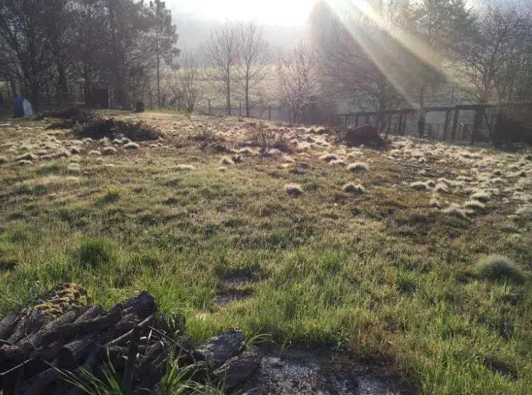 Lands and plots for sale in Couso, imagen 7