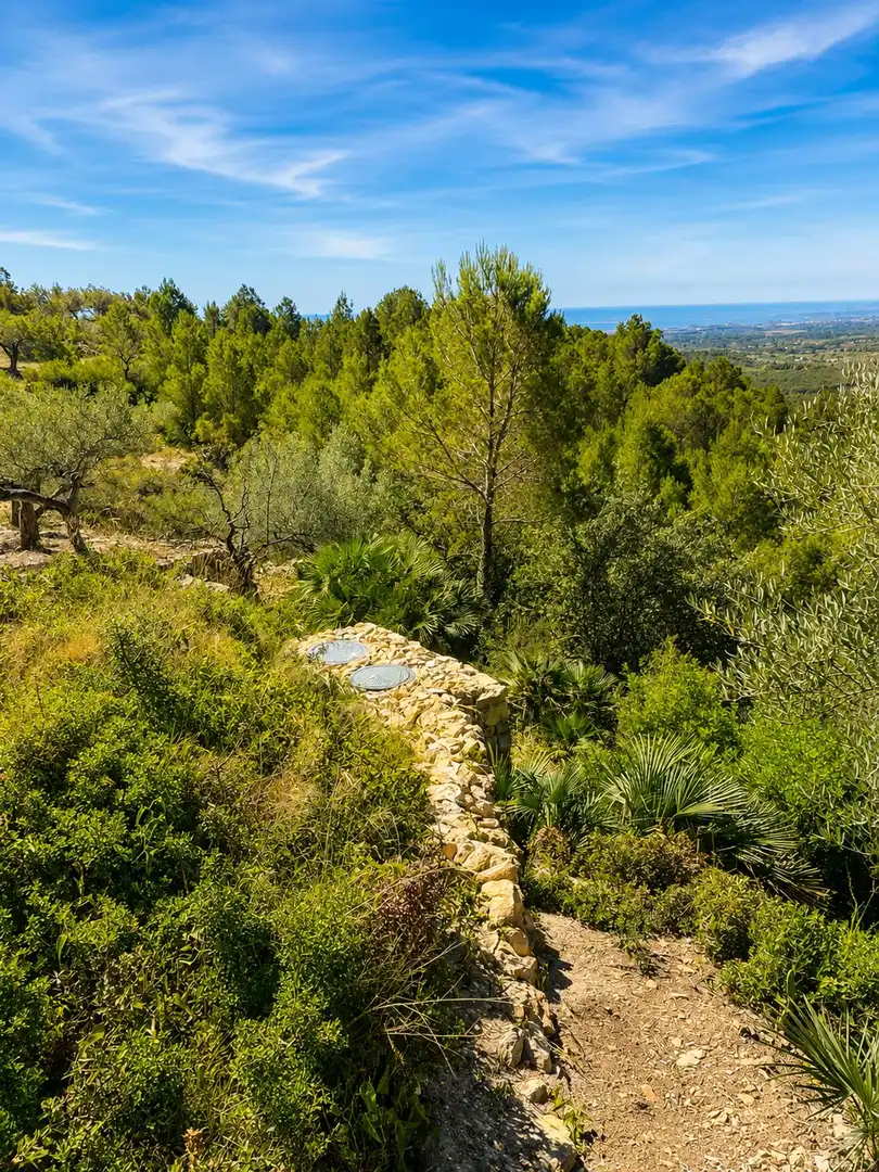 Maison rustique à vendre à El Perelló, imagen 24
