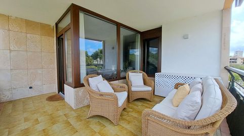 Photo 5 of Apartments for sale in Palmanova, Calvià