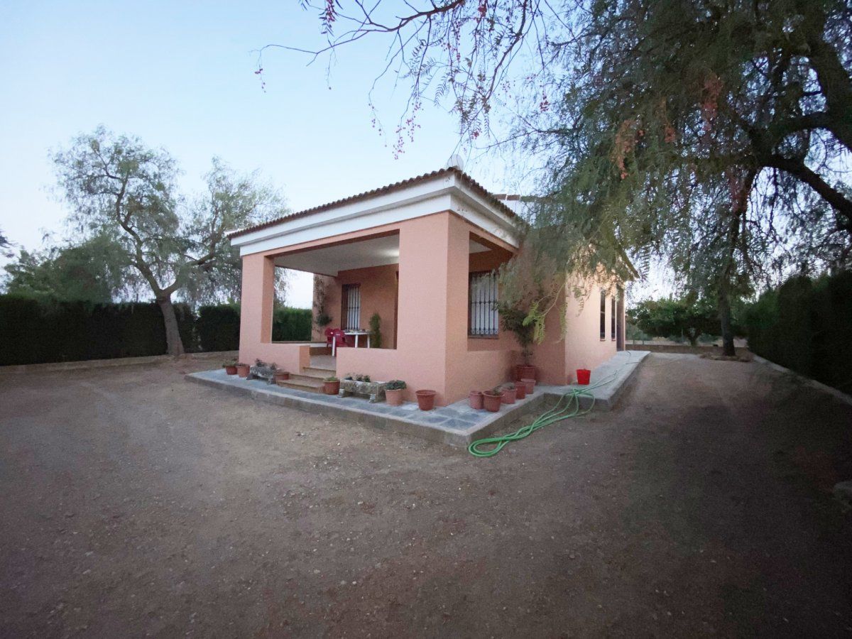 Exterior view of Country house for sale in Villalba del Alcor  with Terrace and Furnished