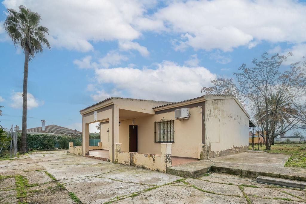 Vista exterior de Casa o xalet en venda en Carmona amb Jardí privat i Piscina comunitària