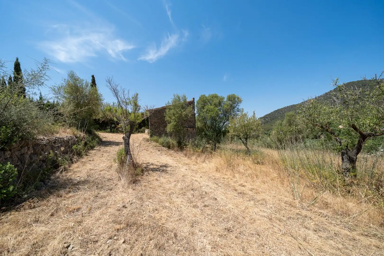 Casa o chalet en venta en Alaró con Jardín privado