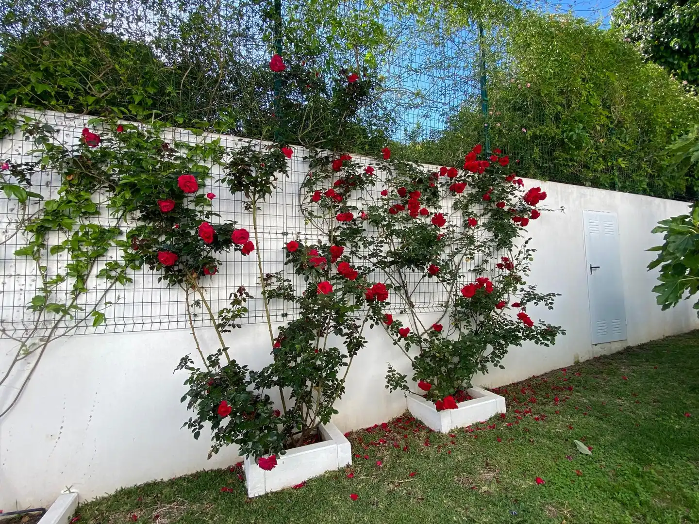 Casa amb piscina en venda a Selwo, imagen 29