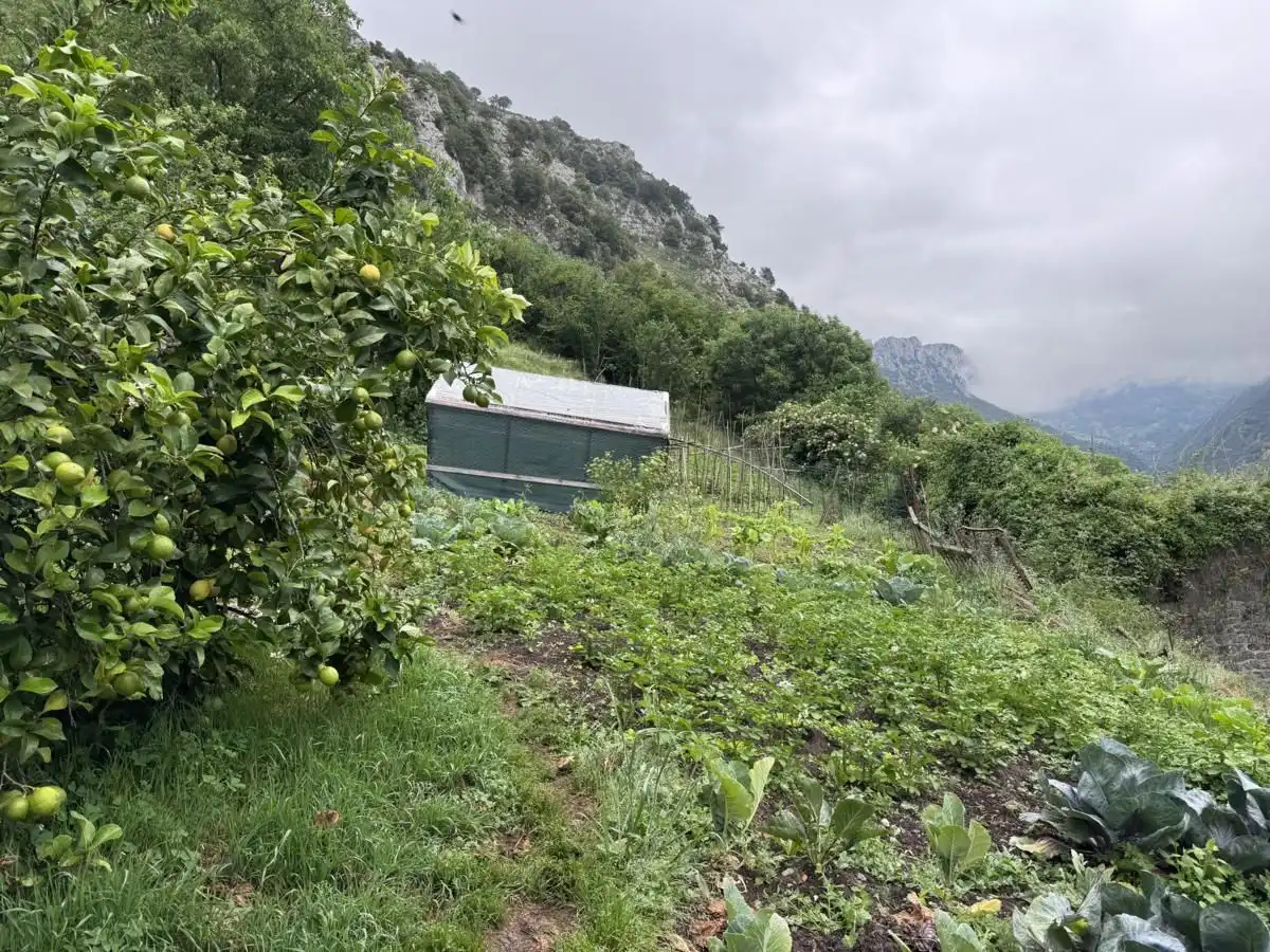 House for sale in Peñamellera Alta, imagen 29