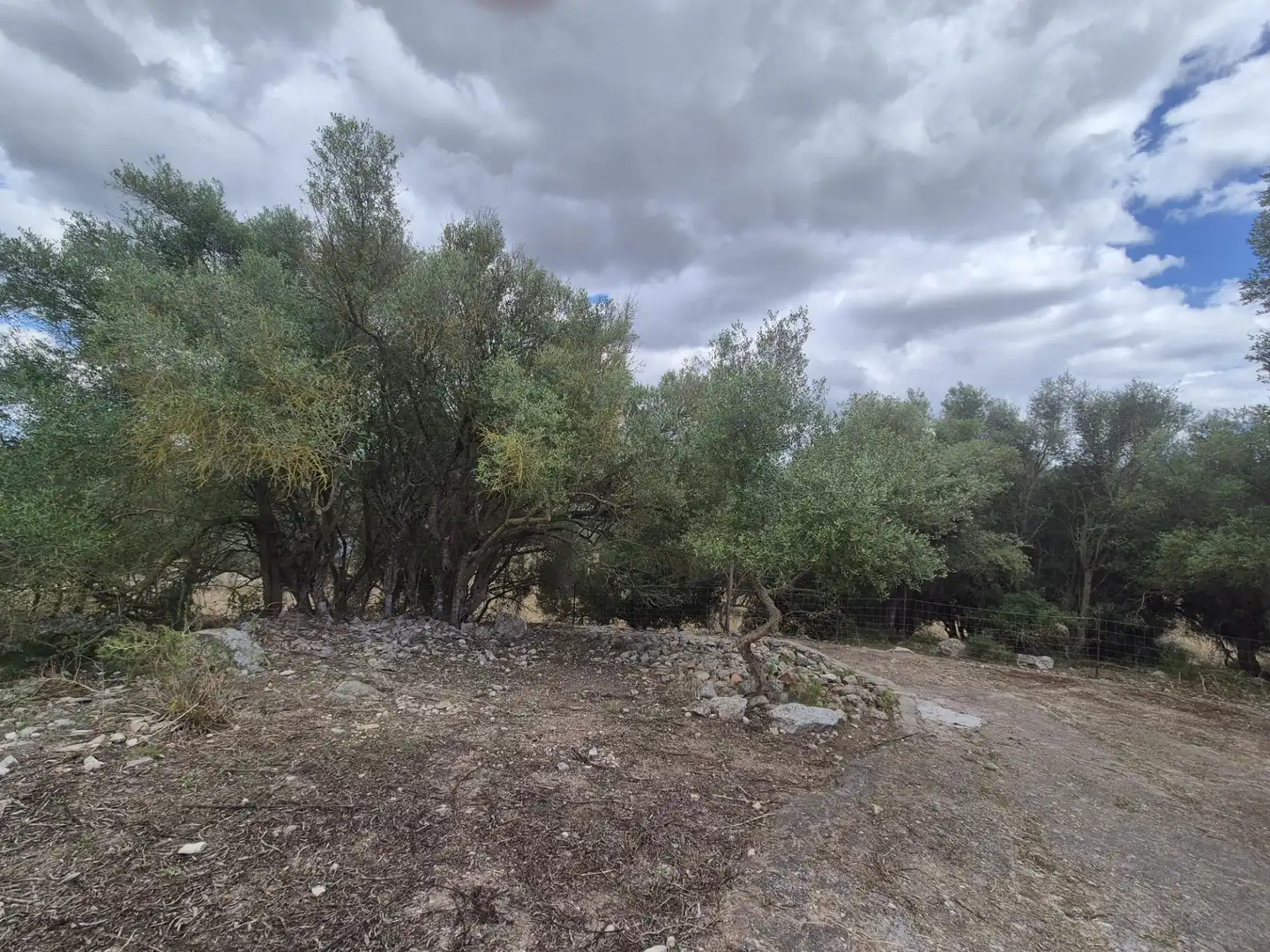 Casa rústica con jardín en venta en Sineu, imagen 49