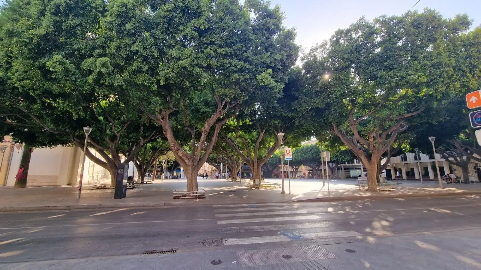 Vista exterior de Apartamento en venta en Almoradí