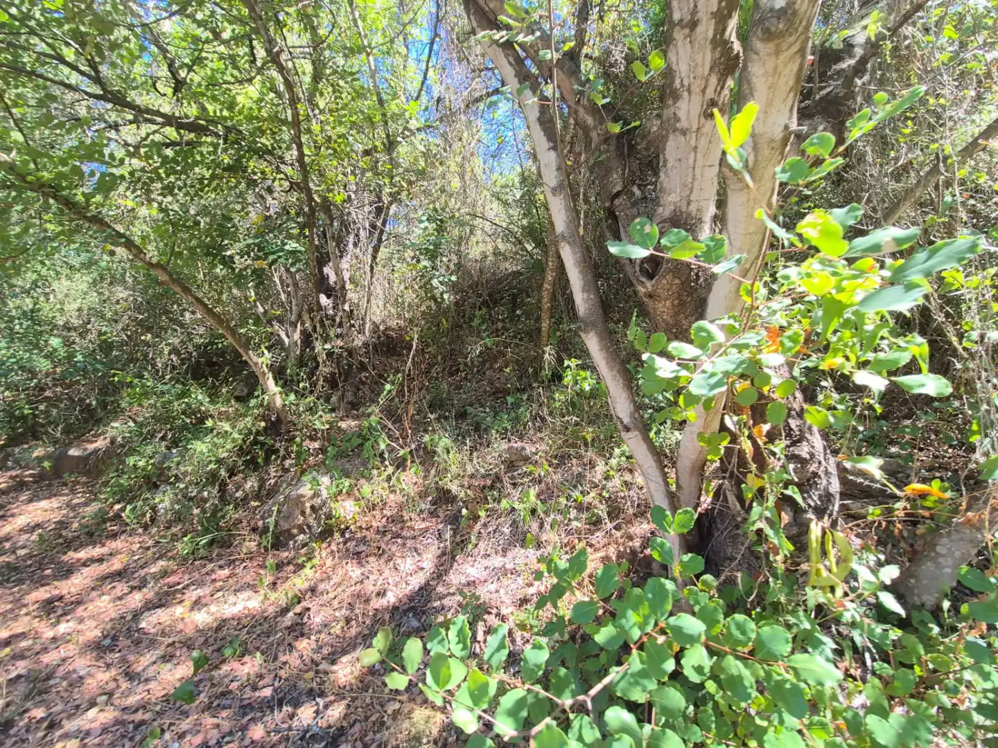 Finca rústica en venda en Guaro amb Calefacció, Terrassa i Traster