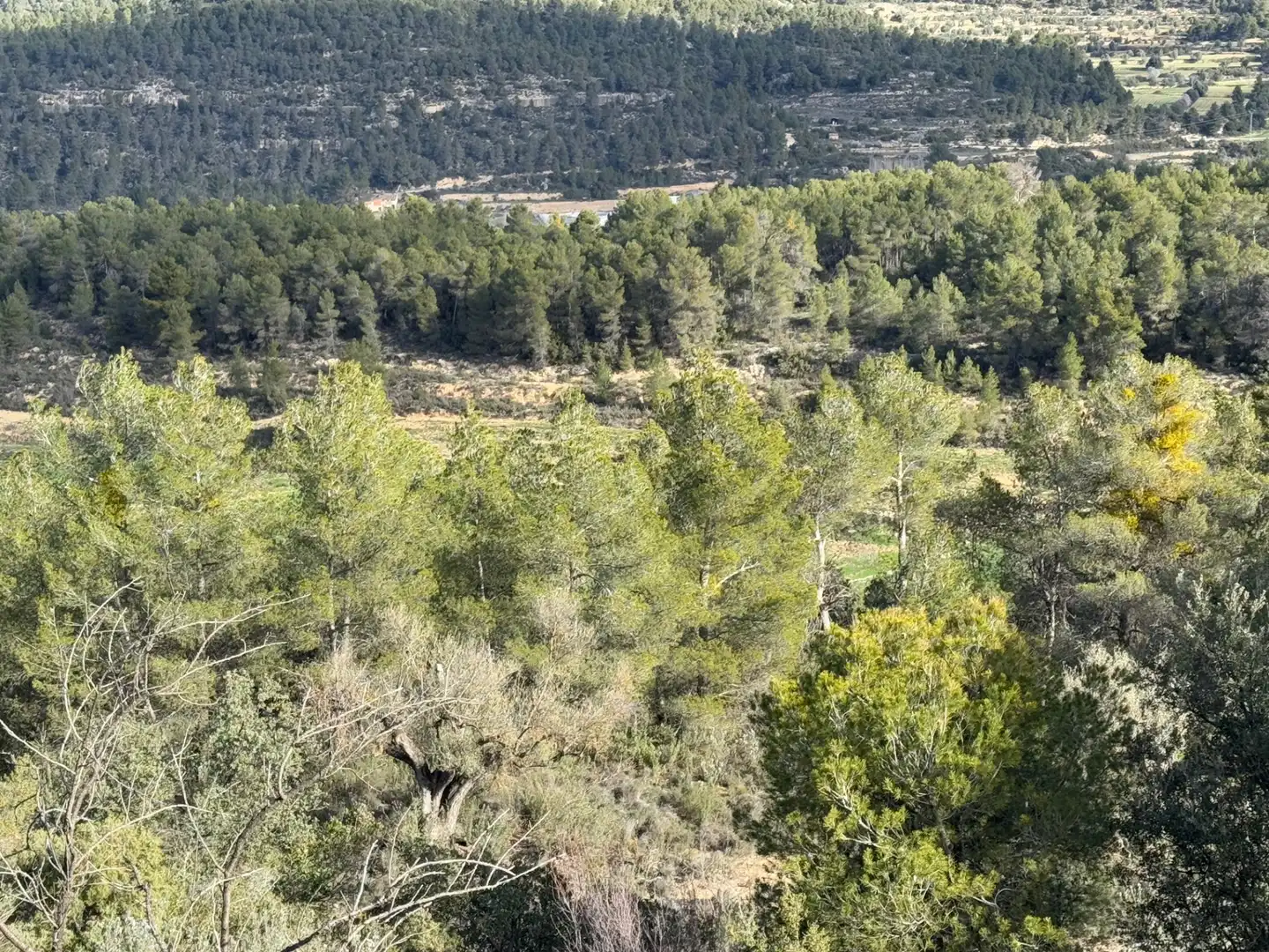 Terreni e lotti in vendita a Valderrobres, imagen 32