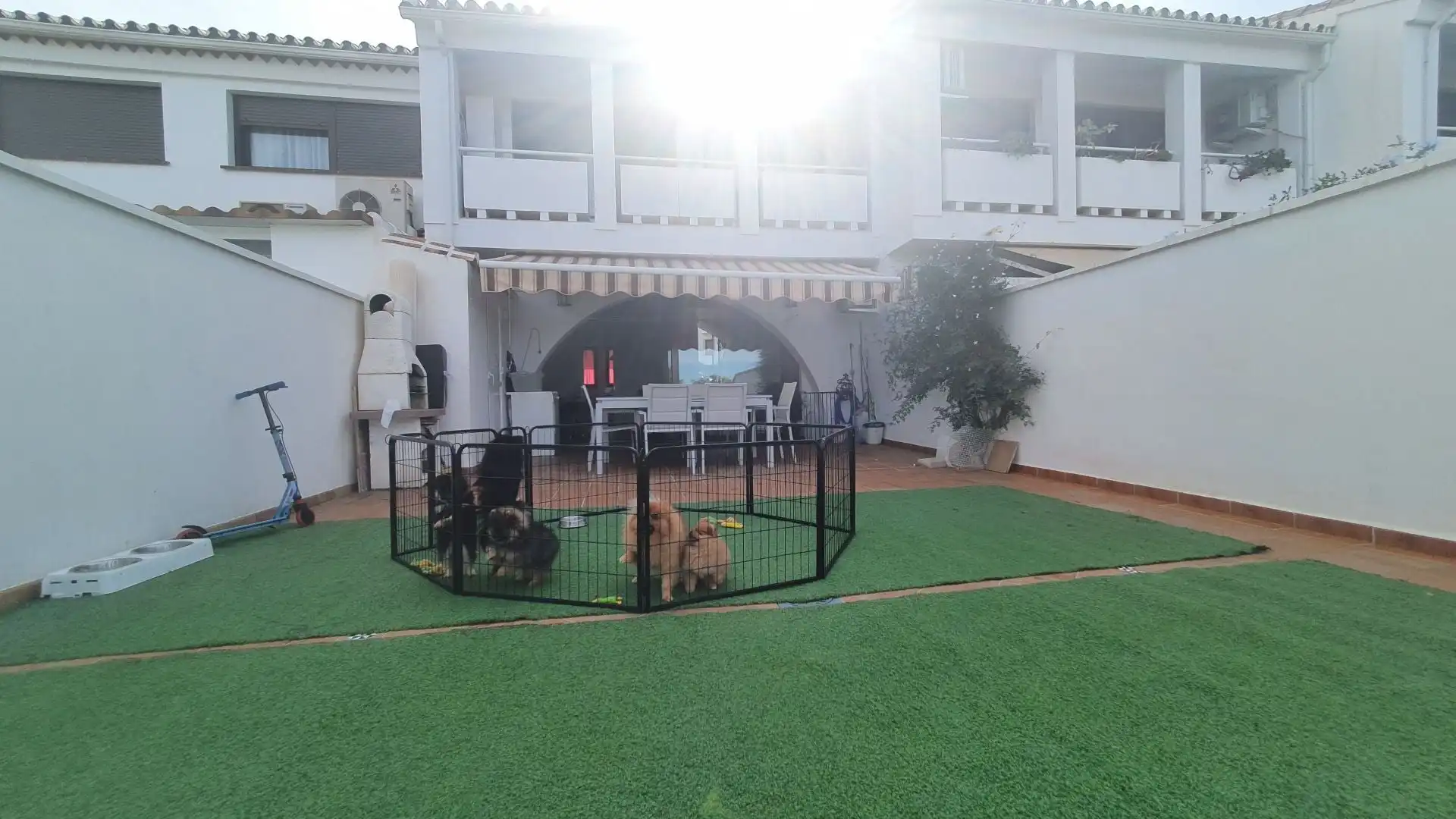 Casa amb piscina de lloguer a Ardelejos - Cuesta de la Palma - Buenavista, imagen 9