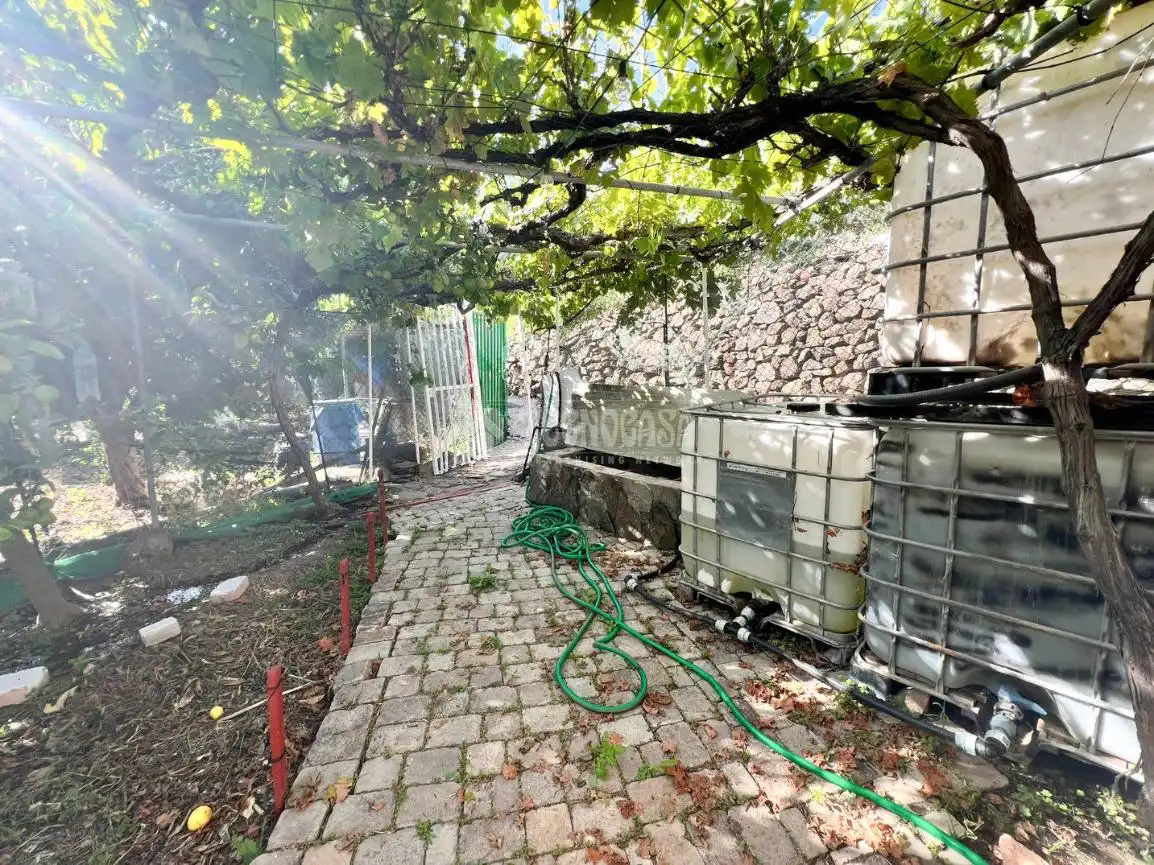 Jardí de Finca rústica en venda en San Bartolomé de Tirajana
