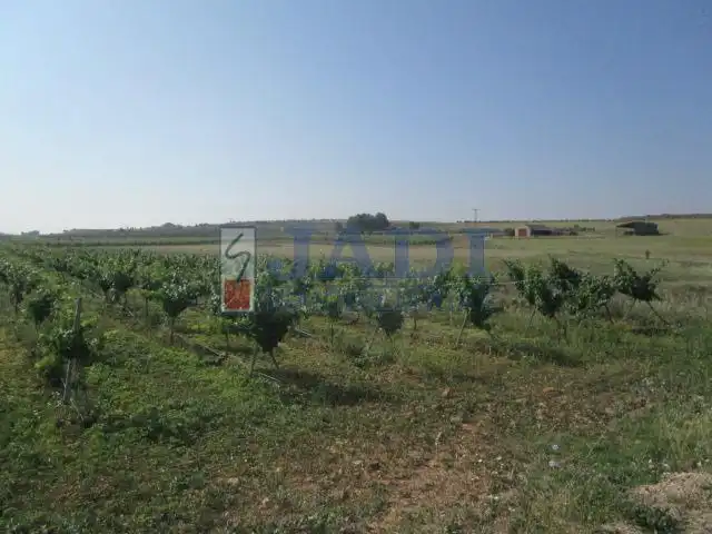 Casa rústica en venda a Valdepeñas, imagen 27