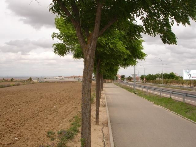 Vista exterior de Residencial en venda en Bargas