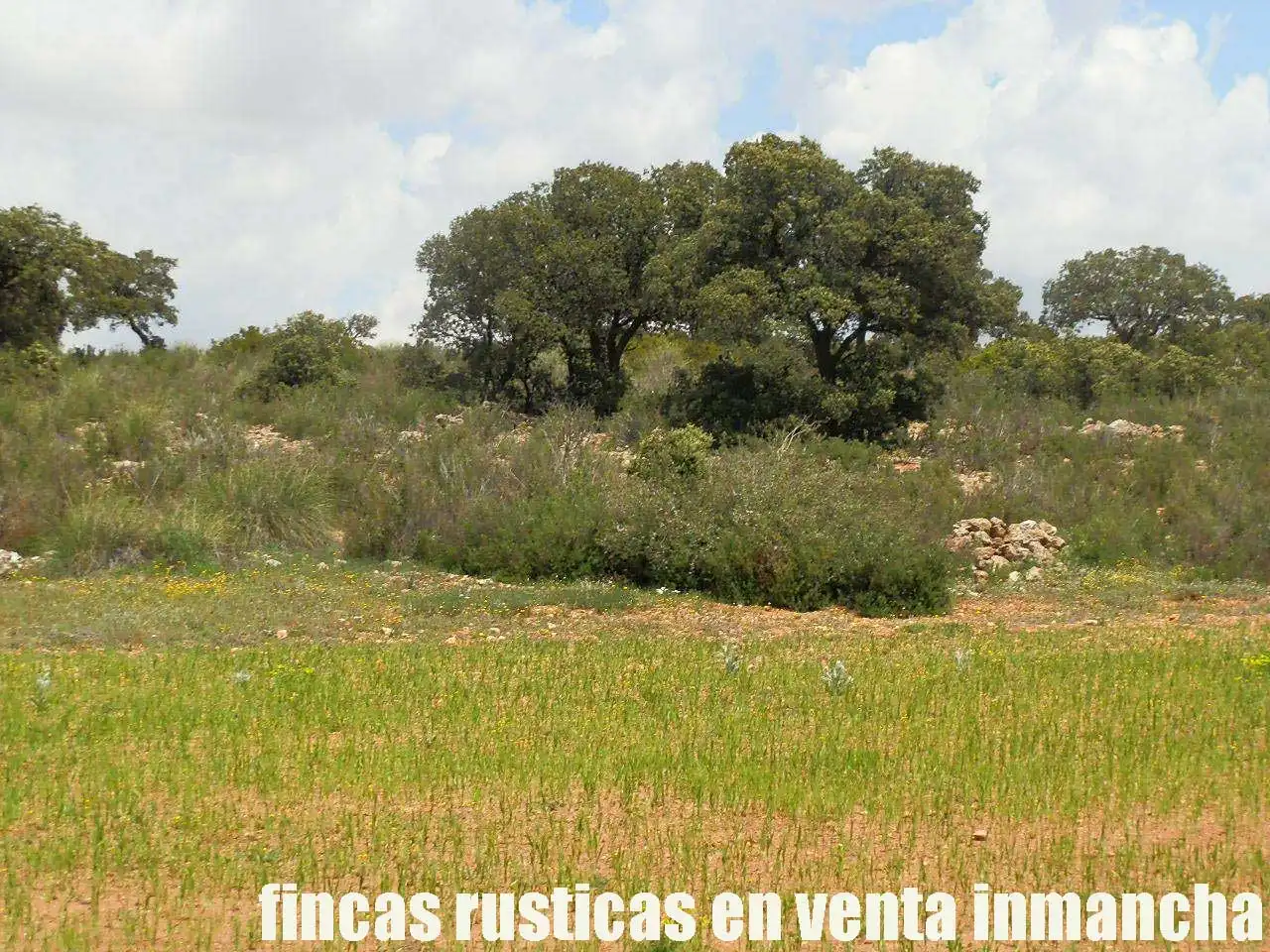 Terreno rustico in vendita a Ruidera, imagen 19