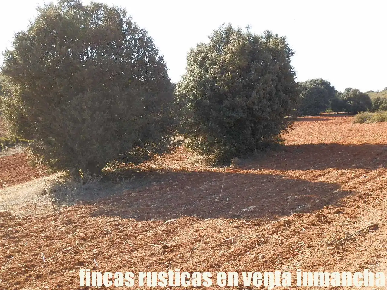 Terreno rustico in vendita a Ruidera, imagen 6