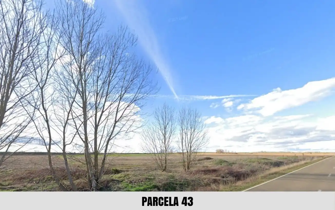 Terreno en venta en Palacios de Riopisuerga