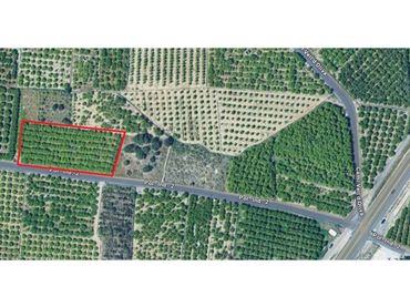 Terreno rustico in vendita a Camino Viejo de Xátiva 1