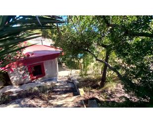 Vista exterior de Finca rústica en venda en Mutxamel amb Aire condicionat i Terrassa