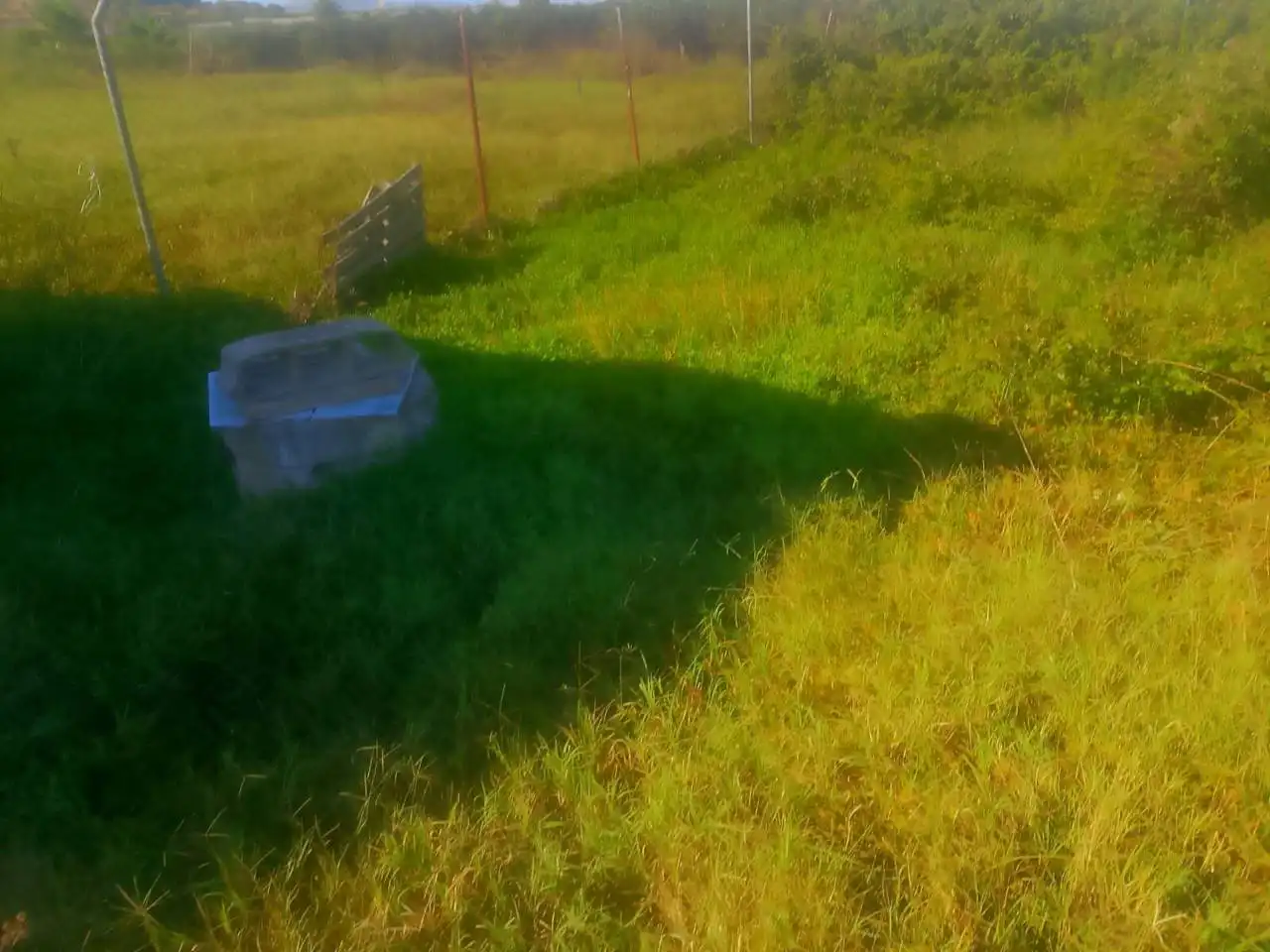 Terreny rústic en venda a Camino Segon de Lera de Forn 45, imagen 25