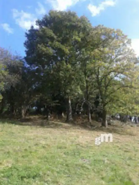 Casa rústica en venda a Parres, imagen 3