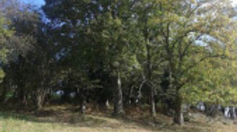 PiloñaFinca Rustica, imatge 3