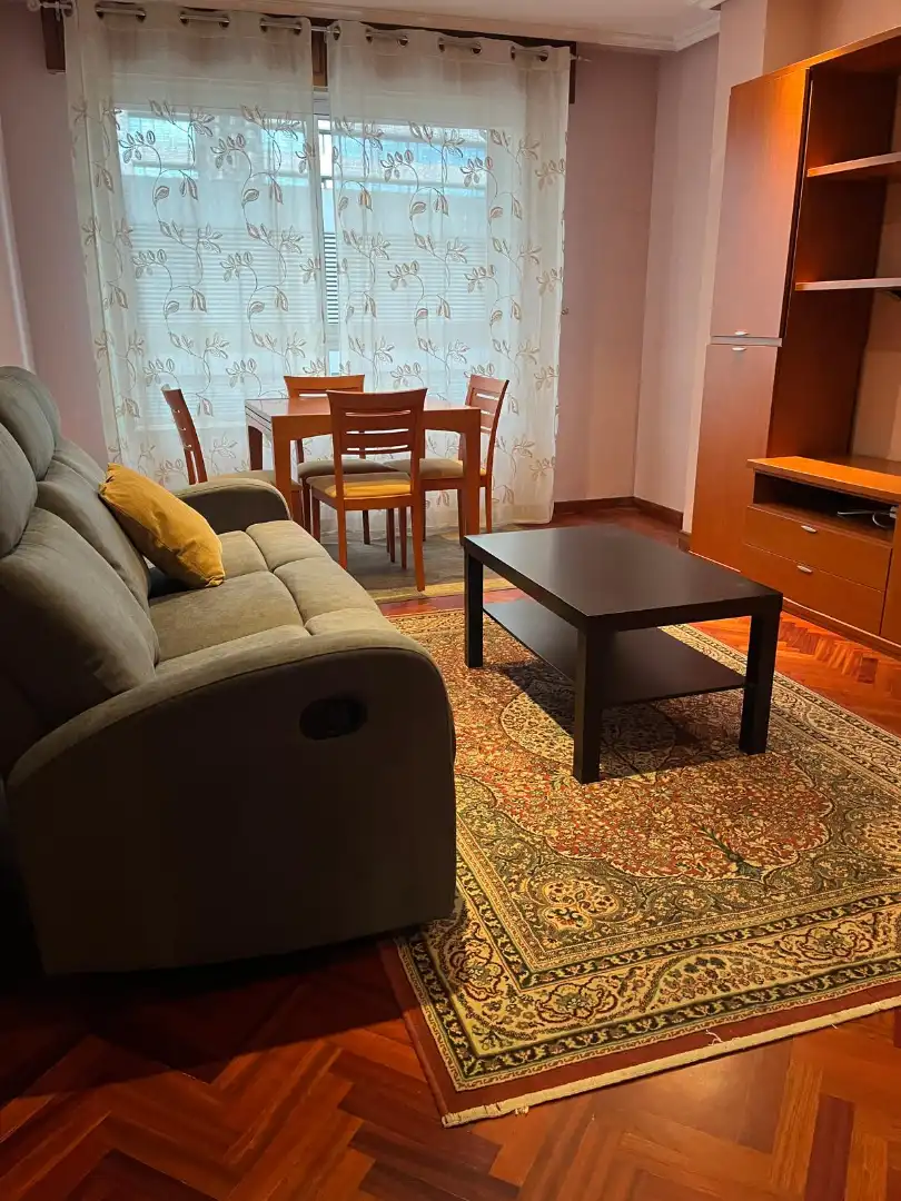 Living room of Flat for rent in Ourense Capital   with Heating, Furnished and Oven