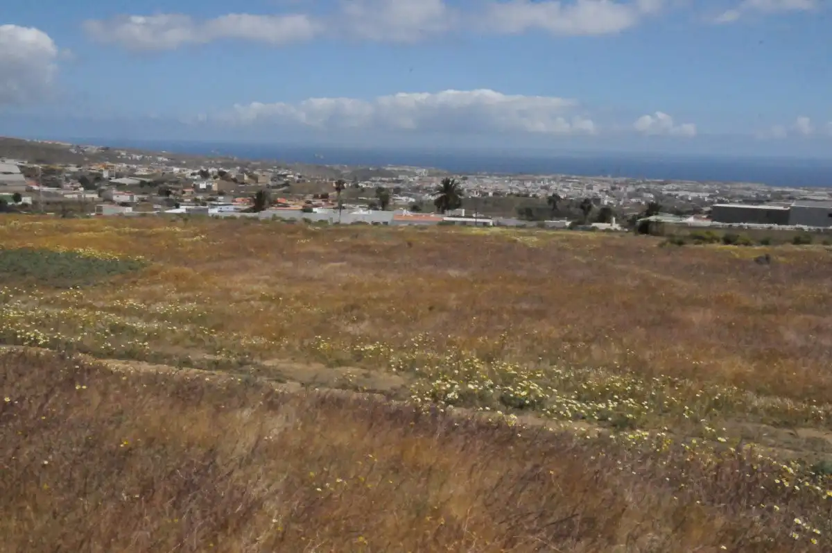 Rural land for sale in Valle de los Nueve - El Ejido - Medianías, imagen 5