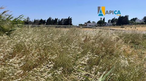 Foto 5 de Terreny en venda a Conil, Conil de la Frontera