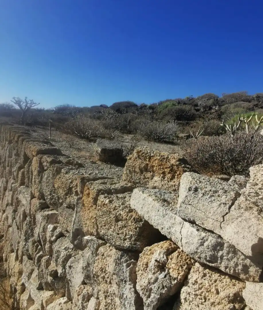 Rural land for sale in TF-28, imagen 9
