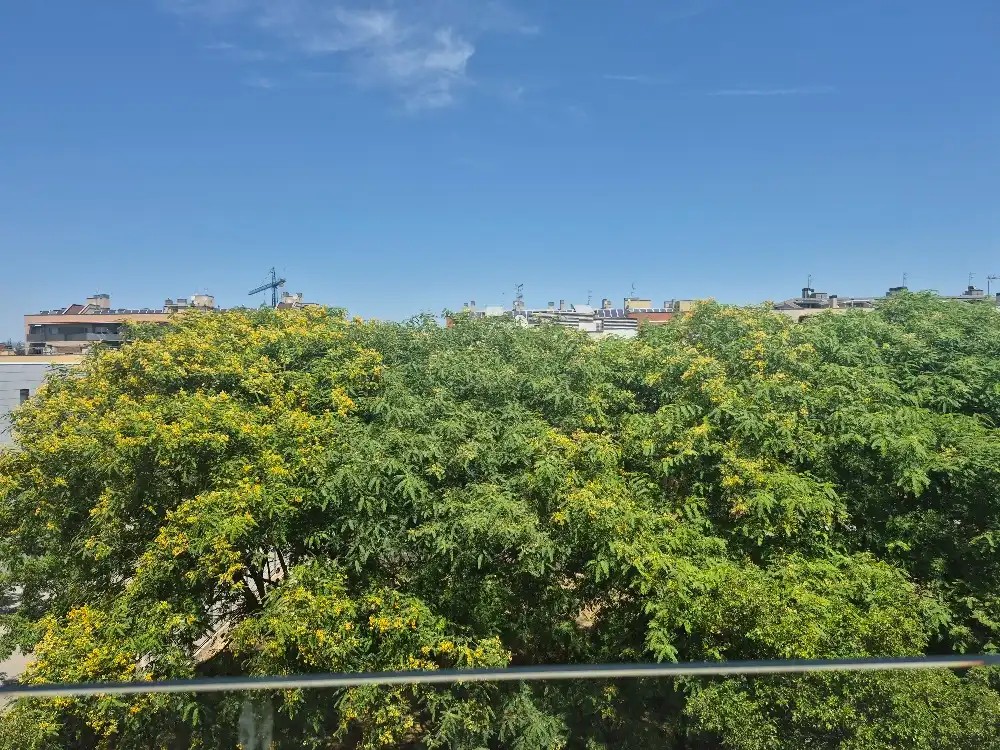Dúplex d'obra nova amb terrassa en venda a Carrer dels Xicots de Vilafranca 13, imagen 37