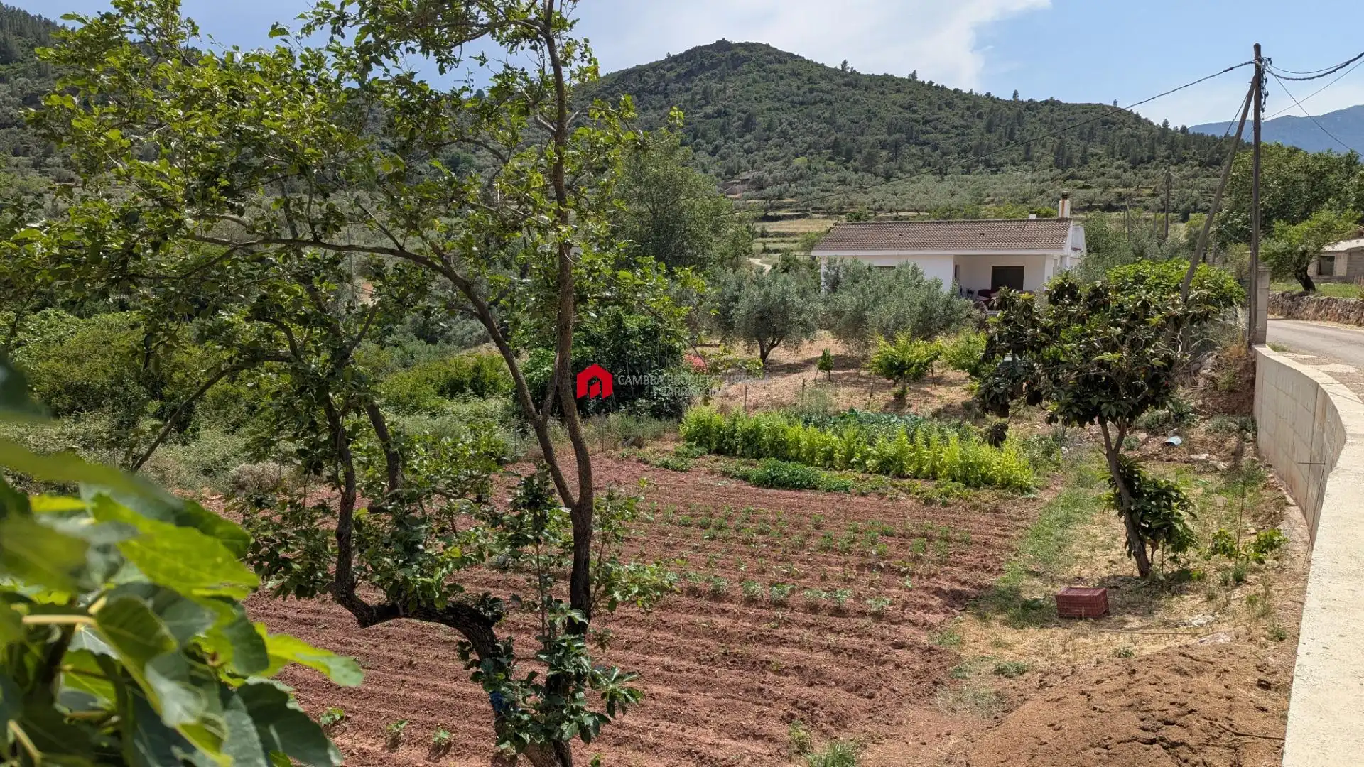 Grundstücke zum Verkauf in Alfara de Carles