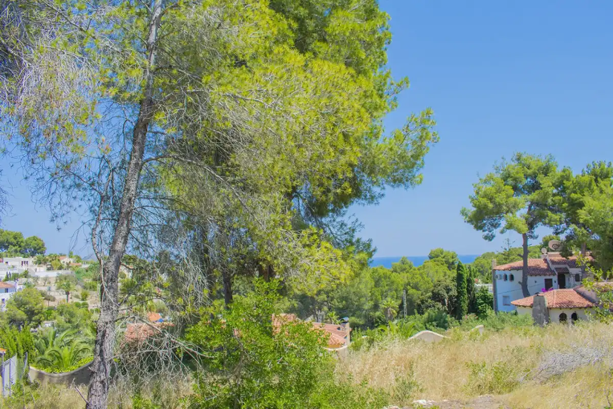 Wohnbaugrundstück zum Verkauf in La Fustera, imagen 9