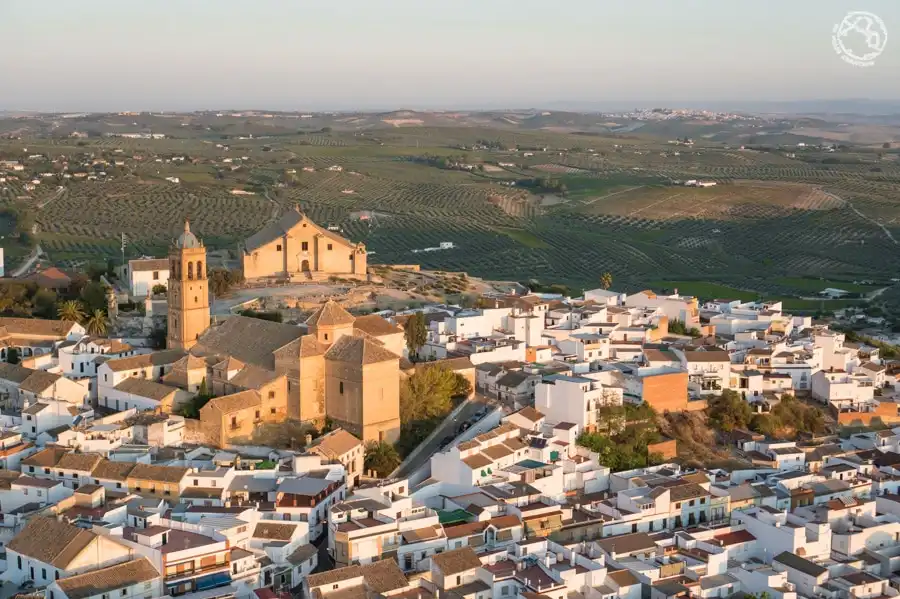 Land for sale in Montilla