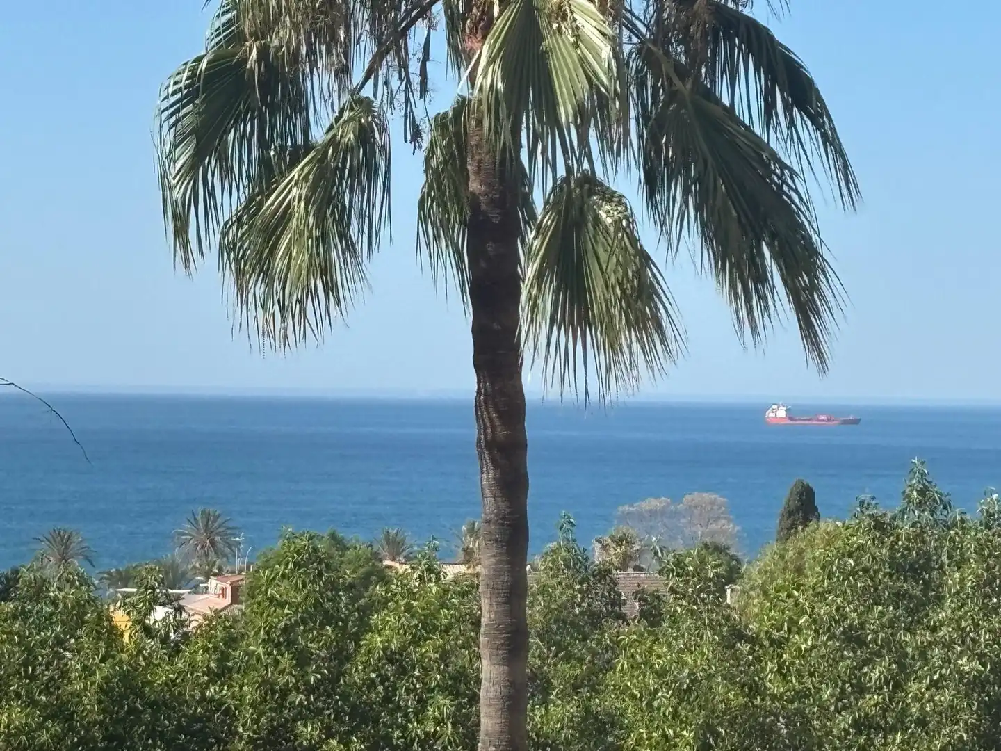 Vista exterior de Apartament en venda en Málaga